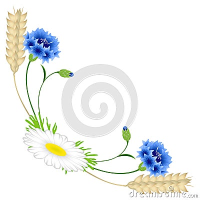 Corner with blue cornflowers and chamomile, wheat ears on a white background. Vector Illustration