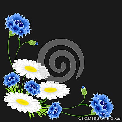 Corner with blue cornflowers and chamomiles on a black background. Vector Illustration