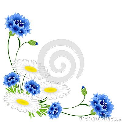 Corner with blue cornflowers and chamomiles on a white background. Vector Illustration