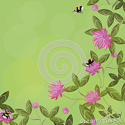 Corner border of clover leaves, flowers and bumblebees, empty floral frame on a green background. Vector composition Stock Photo