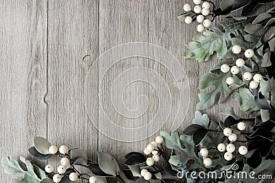 Corner border of silver green leaves and white berries over gray wood Stock Photo