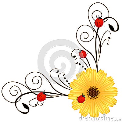 Corner with calendula and ladybirds on a white. Vector Illustration