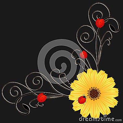 Corner with calendula and ladybug on black. Vector Illustration