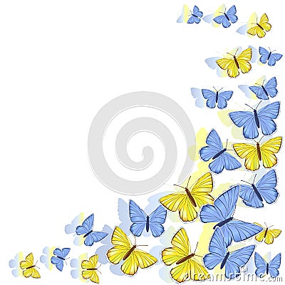 Corner frame of yellow, blue, white butterflies isolated on white background. Vector clipart Stock Photo