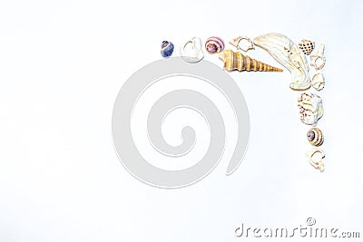 Corner of small marine colorful light orange blue pink purple seashells of different shapes on white backdrop. Design template Stock Photo