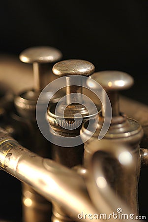 Cornet musical instrument. Stock Photo