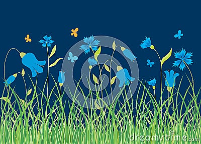 Cornflowers and bluebells in the summer meadow Vector Illustration