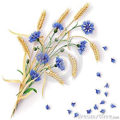 Cornflowers and wheat ears bunch Vector Illustration