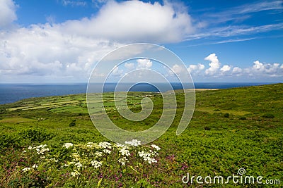 Cornish coast between Lands End and St. Ives Stock Photo