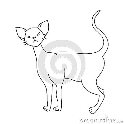 Cornish Rex icon in outline style isolated on white background. Cat breeds symbol stock vector illustration. Vector Illustration
