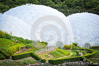 Eden Project, Cornwall Editorial Stock Photo