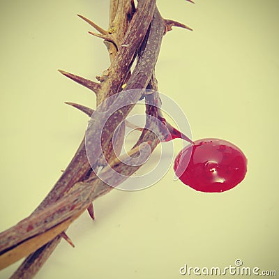 Corona de espinas y de la sangre foto de archivo libre de regalÃas ... Corono de espinas