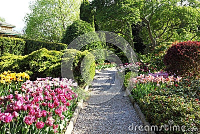 Cororful spring garden. Stock Photo