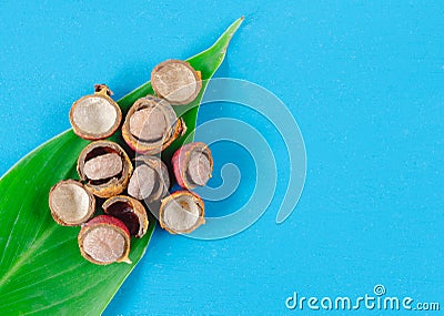 Corozo fruit on blue background. Bactris guineensis Stock Photo