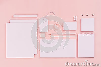 Corporate identity template, white blank stationery set on pastel pink stylish background. Stock Photo