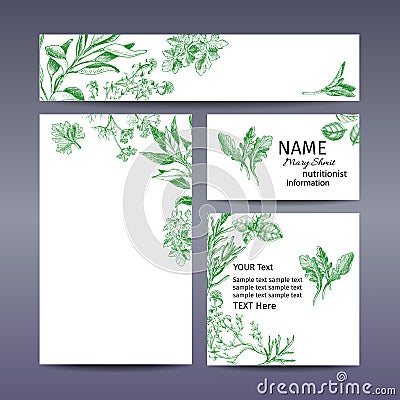 Corporate style - herbs. Vector background sketch herbs. Herbs - Bay leaf, dill, thyme, sage, rosemary, Basil, parsley, arugula. Stock Photo