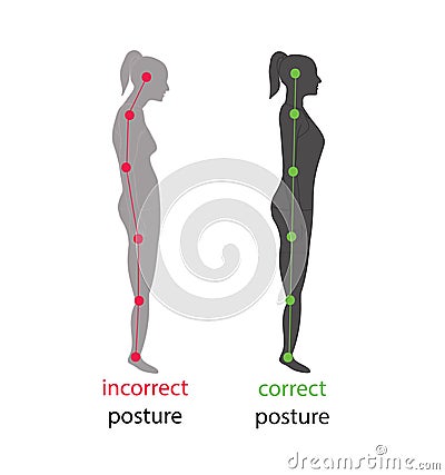 Correct alignment of human body in standing posture for good personality and healthy Vector Illustration