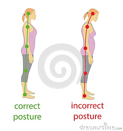 Correct alignment of human body in standing posture for good personality and healthy of spine and bone. Health care and medical il Vector Illustration