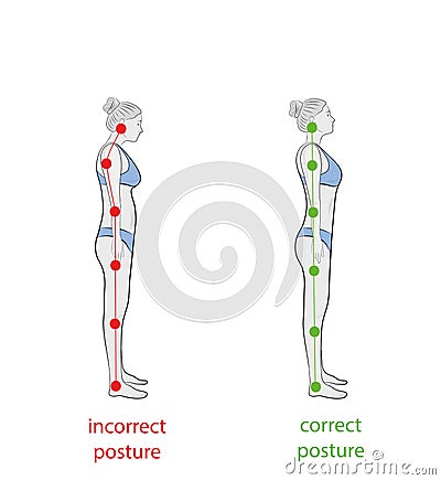 Correct alignment of human body in standing posture for good personality and healthy of spine and bone. Health care and medical il Vector Illustration