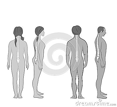 Correct alignment of human body in standing posture for good personality and healthy of spine and bone. Health care and medical il Vector Illustration