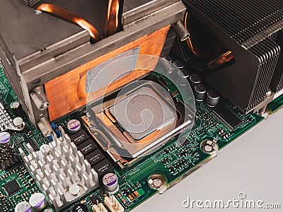 Correct application of thermal conductive paste to the cover of a computer or server circuit before installing the radiator of the Stock Photo