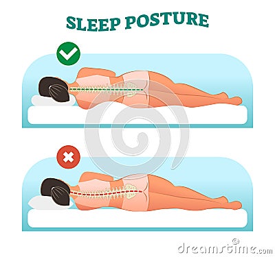 Correct and healthy sleeping posture for your neck and spine, vector illustration. Vector Illustration