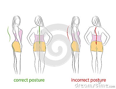 Correct and incorrect posture. side and rear view. medical recommendations. vector illustration. Vector Illustration