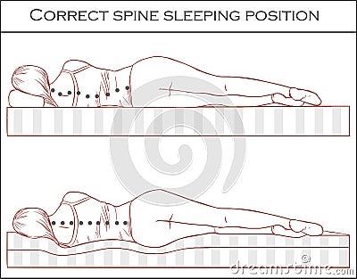 Correct spine sleeping position Vector Illustration