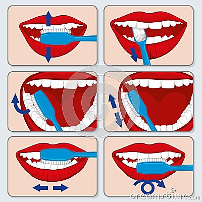 Correct tooth brushing vector infographics Vector Illustration