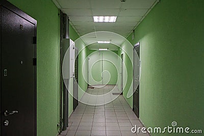 Corridor in a residential building. Wide-angle view of a modern corridor with doors against a green wall. modern lobby of the Stock Photo