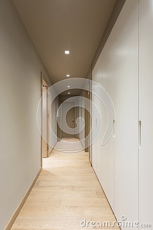 Corridor with white wardrobe. Interior of modern apartment Stock Photo