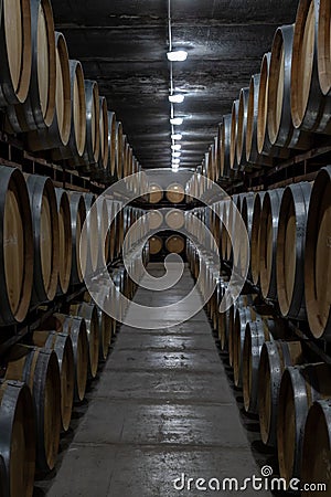 Corridor in a wine cellar with wooden barrels stacked in darkness Stock Photo