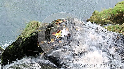 Corriente del agua de la montaña almacen de video Corriente del agua de la montaña almacen de video