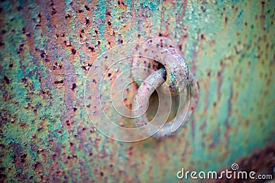 Corroded Painted Steel Background With Eye Bolt Stock Photo