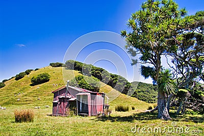 Corrugated iron pioneer cottage in the hills of South Island, New Zealand Stock Photo