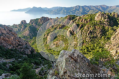 Corsica island coastline landscape Stock Photo