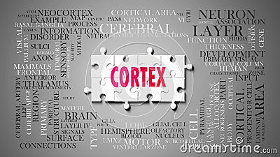 Cortex as a complex subject, related to important topics spreading around as a word cloud Stock Photo