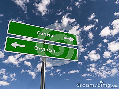 Cortisol - Oxytocin traffic sign on blue sky Stock Photo