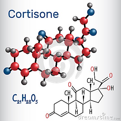 Cortisone steroid hormone - structural chemical formula and mo Vector Illustration