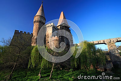 Corvinesti Castle Stock Photo