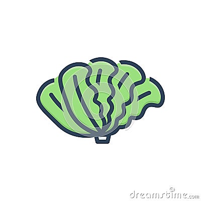 Color illustration icon for Cos, vegetable and leafy Cartoon Illustration