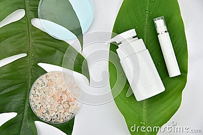 Cosmetic bottle containers with green herbal leaves, Blank label for branding mock-up. Stock Photo