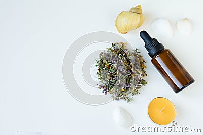 Cosmetic bottle with droper and spa elements, dry plants and sea shells. Stock Photo