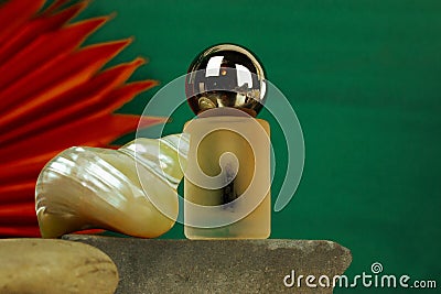 Cosmetic bottle, pearl seashell on emerald background. Stylish beauty product. Stock Photo