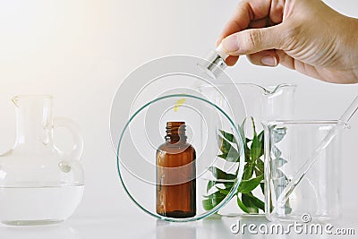 Cosmetic brown bottle containers and scientific glassware, Focus on oil dropping in blank label package for branding mock-up Stock Photo