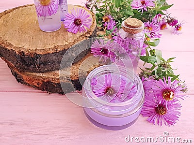 Cosmetic cream, extract, organic alternative chrysanthemum flower on a pink wooden background Stock Photo