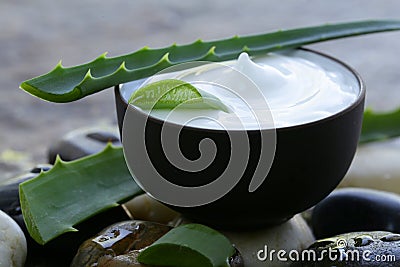 Cosmetic cream lotion with natural green aloe vera Stock Photo