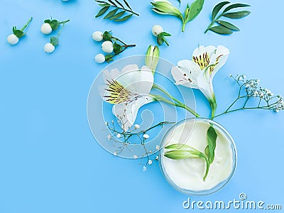 Cosmetic cream, wellness lotion herbal spa fresh cleansing lifestyle floral design flower spring on a colored background Stock Photo