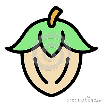 Cosmetic jojoba nut icon color outline vector Vector Illustration