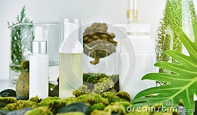 Cosmetic and skincare bottle containers with green herbal leaves, Blank label package for branding mock-up. Stock Photo